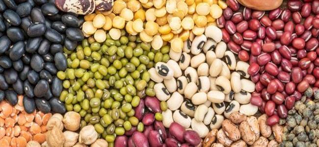 لماذا تعتبر البقوليات غذاء الطبيعة المثالي؟